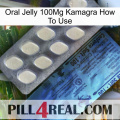 Oral Jelly 100Mg Kamagra How To Use 34